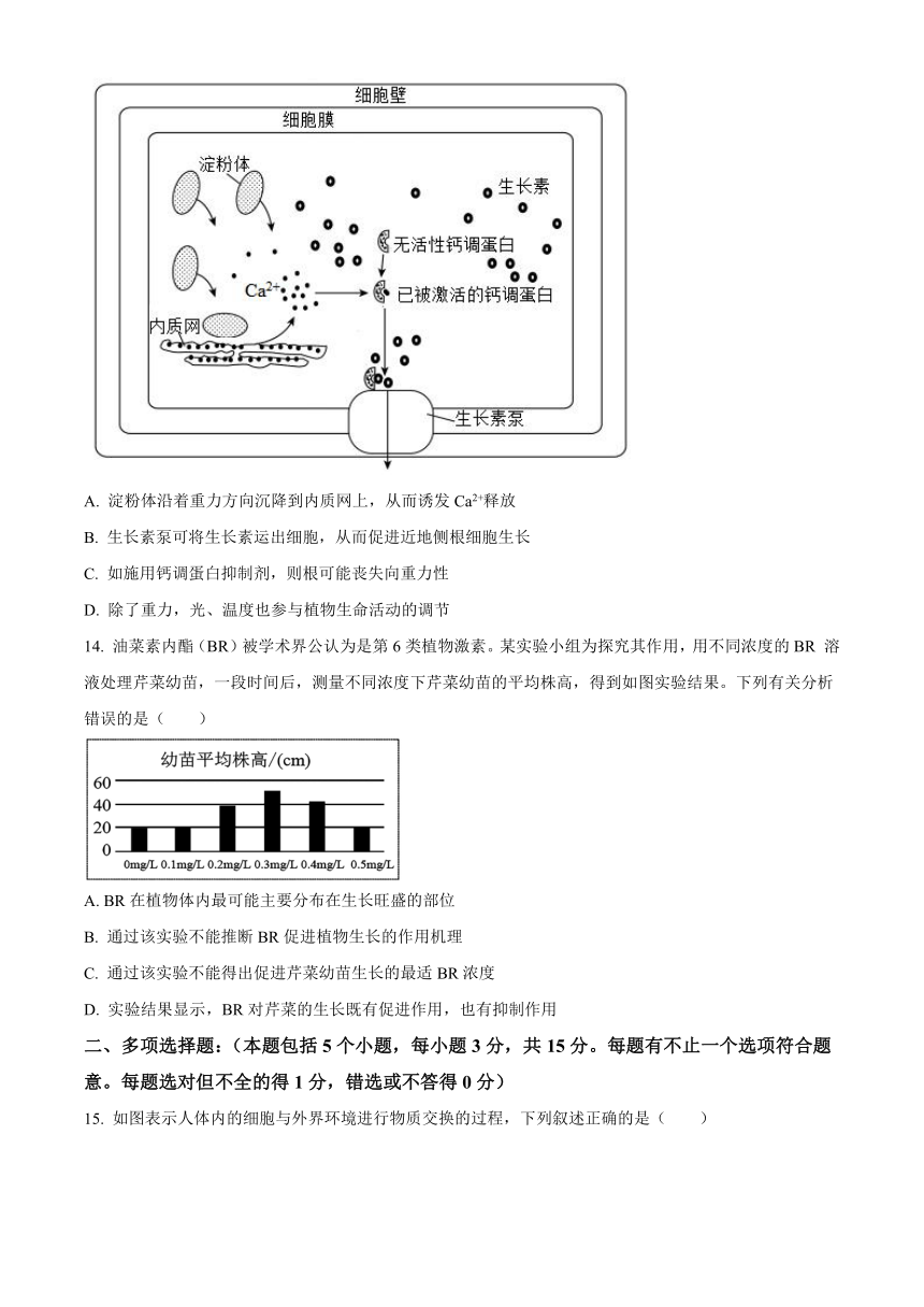 江苏省无锡市锡东高级名校2023-2024学年高二上学期期中考试生物（解析版）