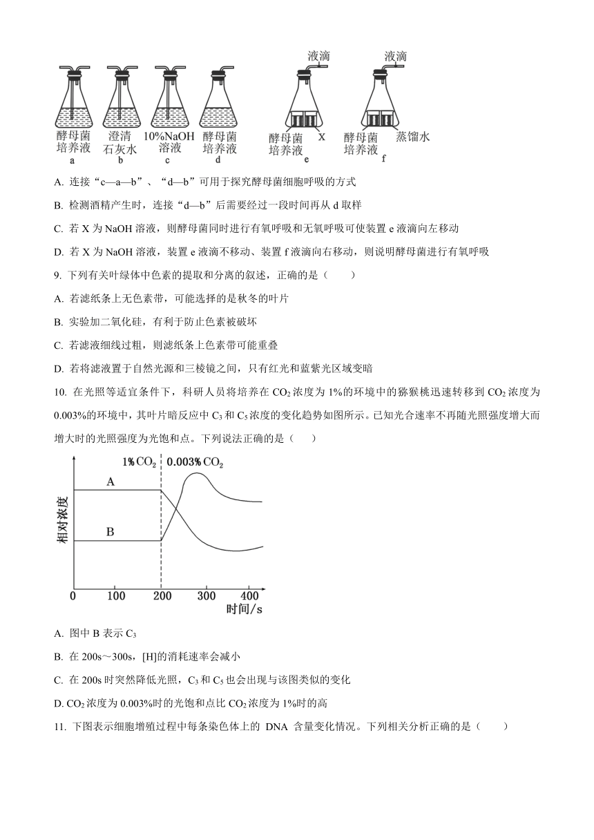 内蒙古部分名校2023-2024学年高三上学期期中联考试题生物（解析版）