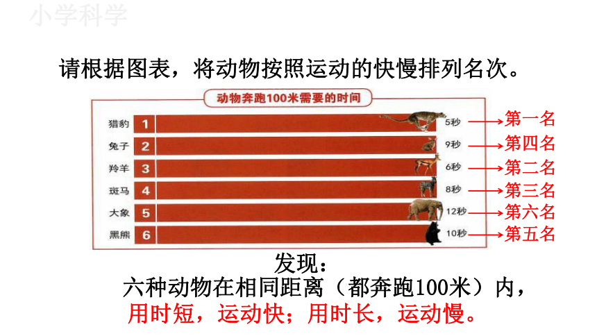 教科版（2017秋）三年级下册1.5比较相同距离内运动的快慢课件（20张PPT)