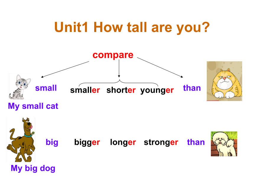 Unit 1 How tall are you? PC 课件（20张PPT）