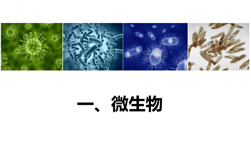 1.2 微生物的培养技术及应用课件(第1课时）（共58张PPT）-生物人教版（2019）选择性必修三