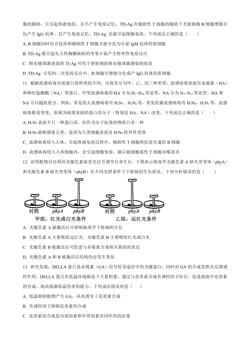 山东省德州市实验中学2023-2024学年高二上学期期中考试生物（含解析）