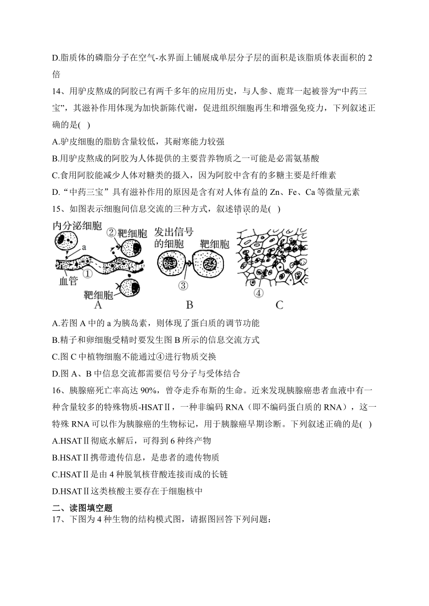 福建省宁德市寿宁县2022-2023学年高一11月期中生物试题(含解析)