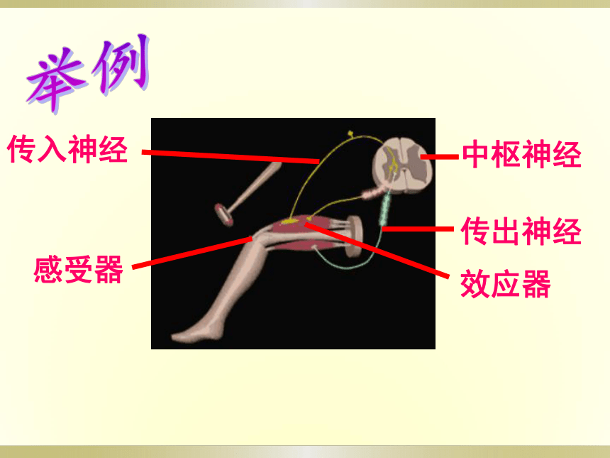 人教版七下生物第六章第三节《神经调节的基本方式》课件（共36张PPT）