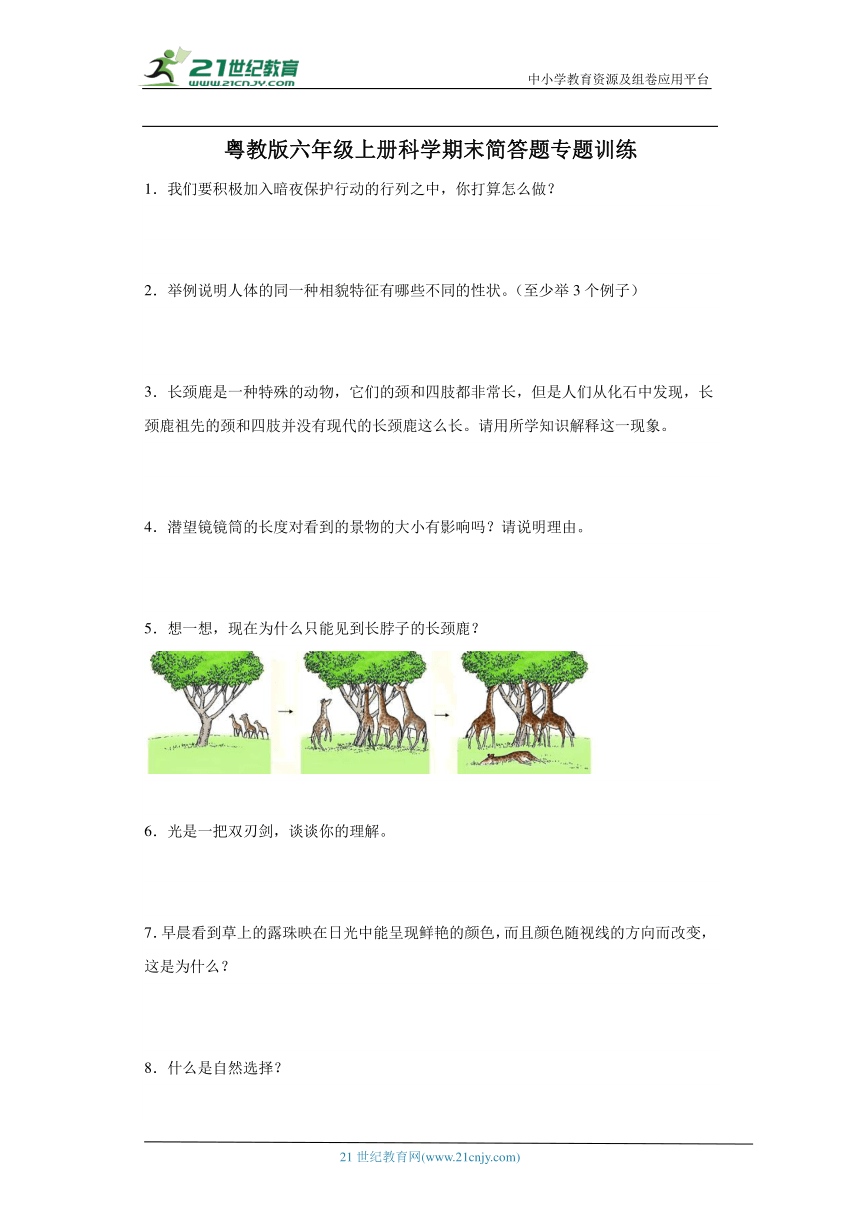 粤教版六年级上册科学期末简答题专题训练（含答案）