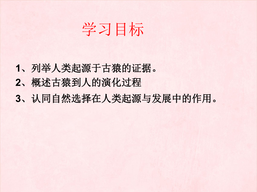 5.2.1  人类的起源  课件（共18张PPT）2023-2024学年济南版生物八年级下册