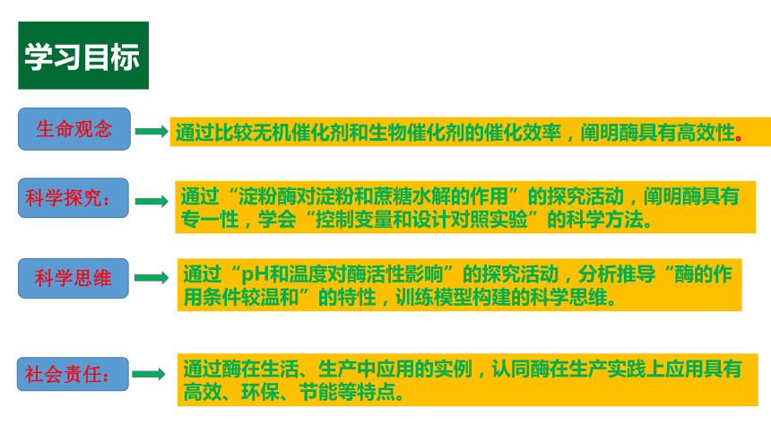 5.1降低化学反应活化能的酶第2课时课件(共30张PPT2份视频)2023-2024学年高一上学期生物人教版必修1