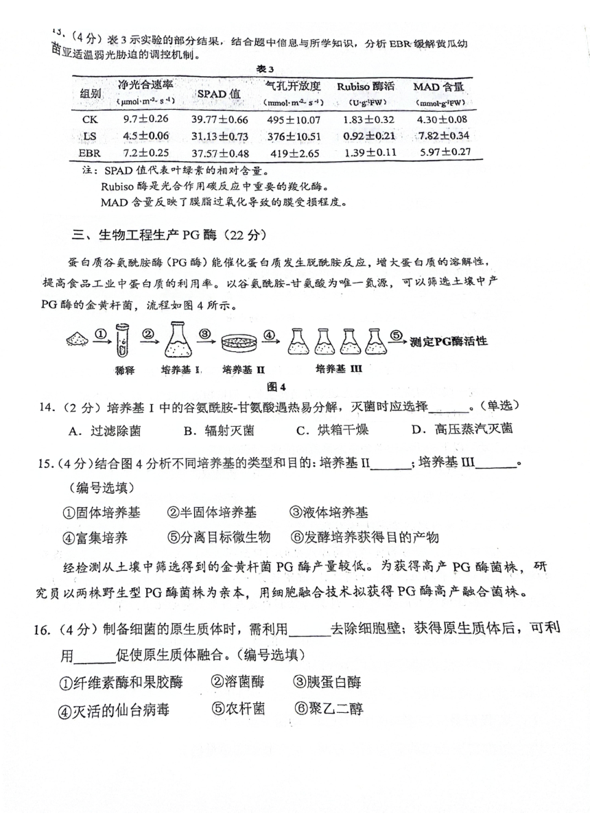 2024届上海市闵行区高三一模生物试卷（PDF版无答案）