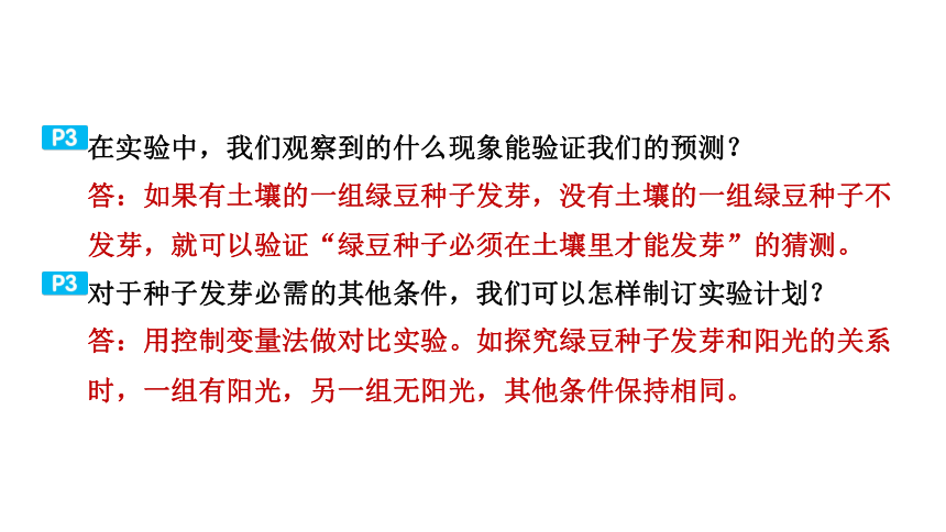 教科版科学五年级下册教材研讨问题参考答案  课件(共36张PPT)