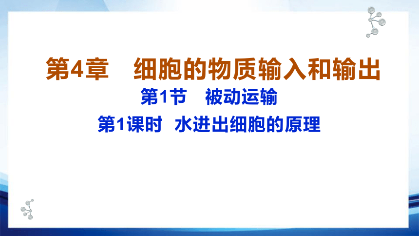 4.1.1 水进出细胞的原理(共32张PPT)-高一生物课件（人教版2019必修1）