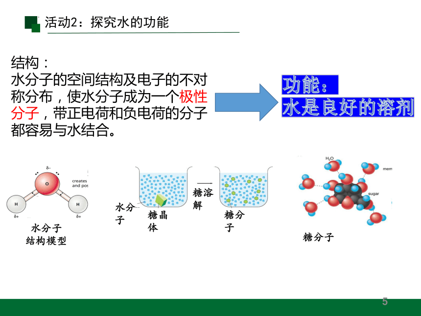 2.2 细胞中的无机物课件(共17张PPT)2023-2024学年高一上学期生物人教版必修1