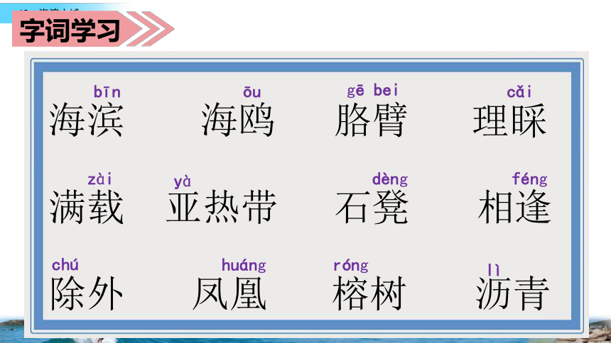 19.《海滨小城》第一课时课件(共26张PPT)