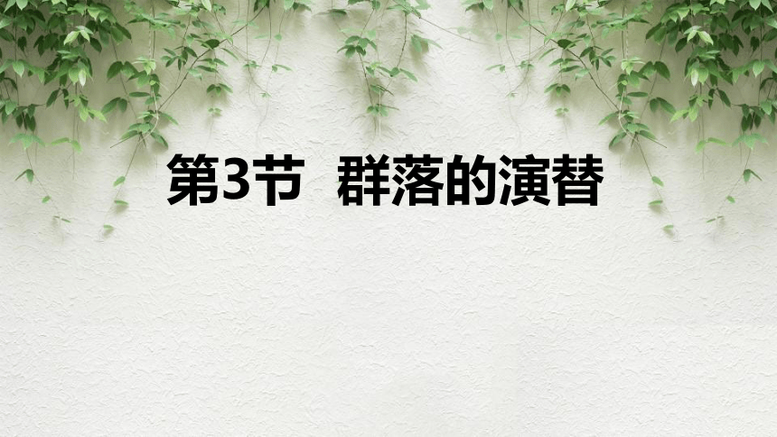 2.3群落的演替课件（共17张PPT、3份视频）2023-2024学年高二上学期生物人教版选择性必修2