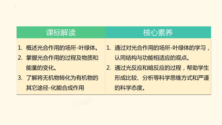 3.2.2 绿色植物光合作用的过程课件(共30张PPT)2023-2024学年高一上学期生物苏教版（2019）必修第一册