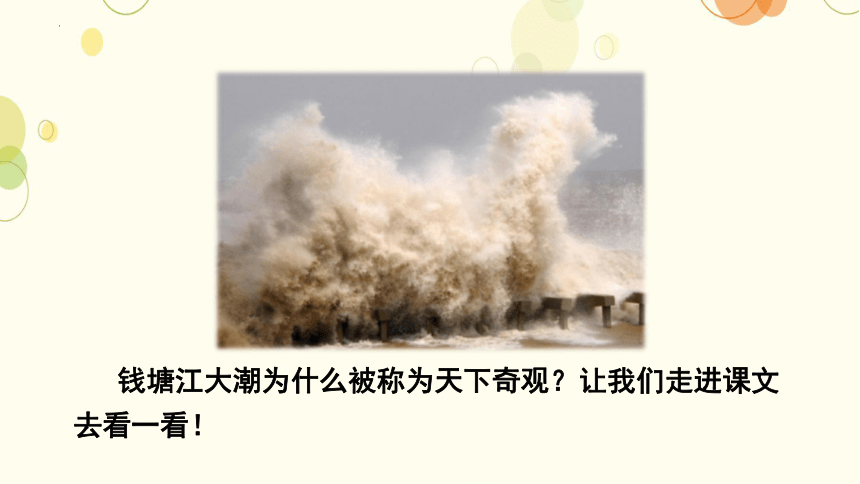 1《观潮》  课件(共21张PPT)