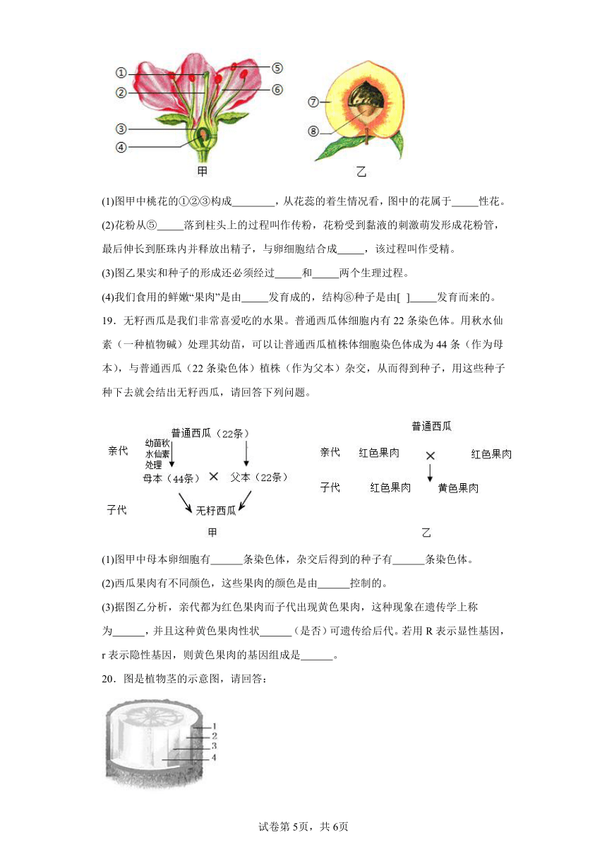 2023-2024学年初中生物济南版八年级上册期末测试模拟卷2（答案+解析）