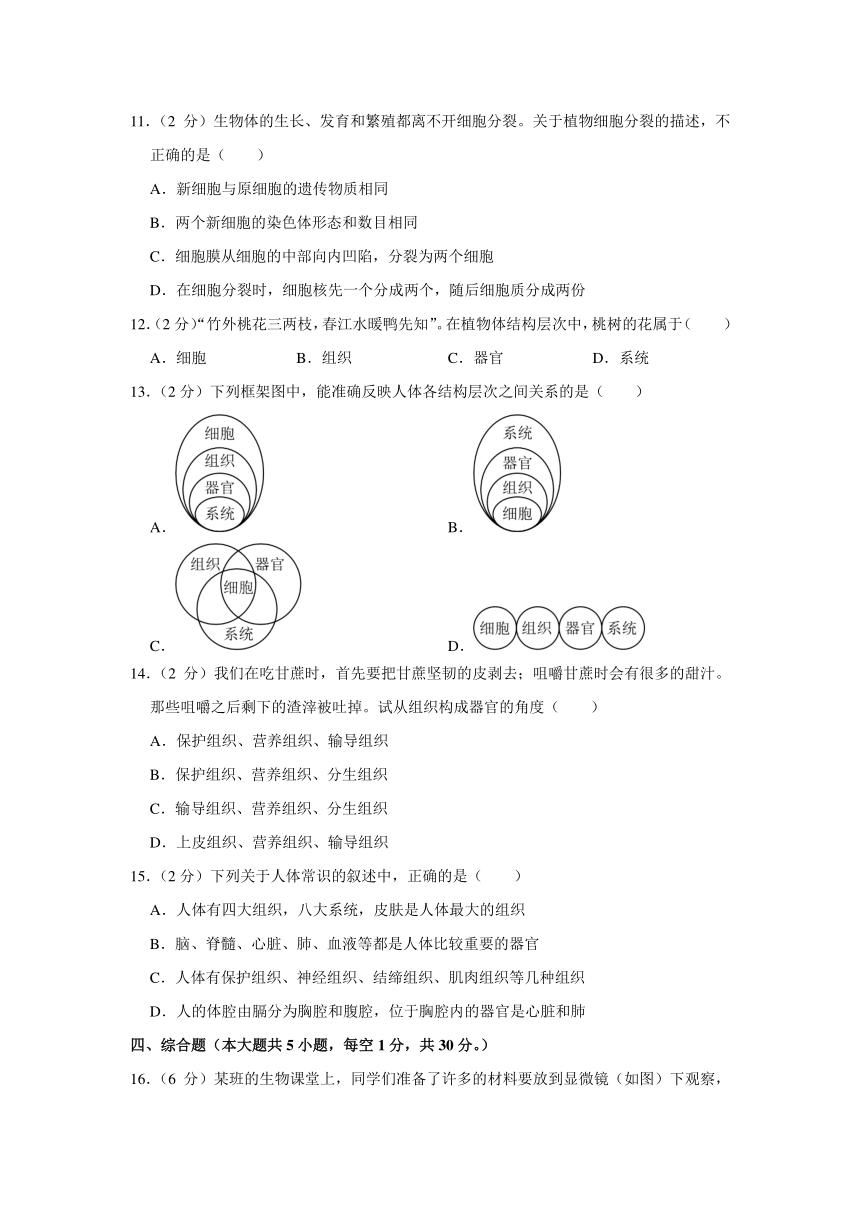 广西贵港市平南县2023-2024学年七年级上学期期中生物试卷（含解析）