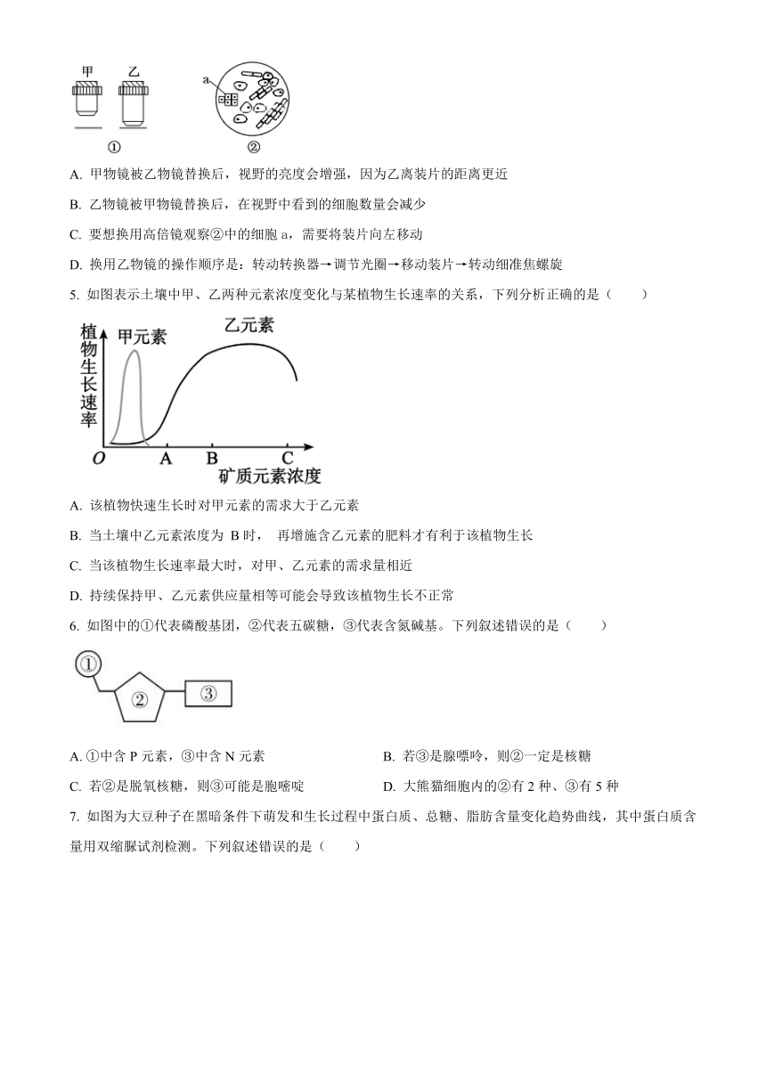 山东省泰安市肥城市2023-2024学年高一上学期期中考试生物（含解析）