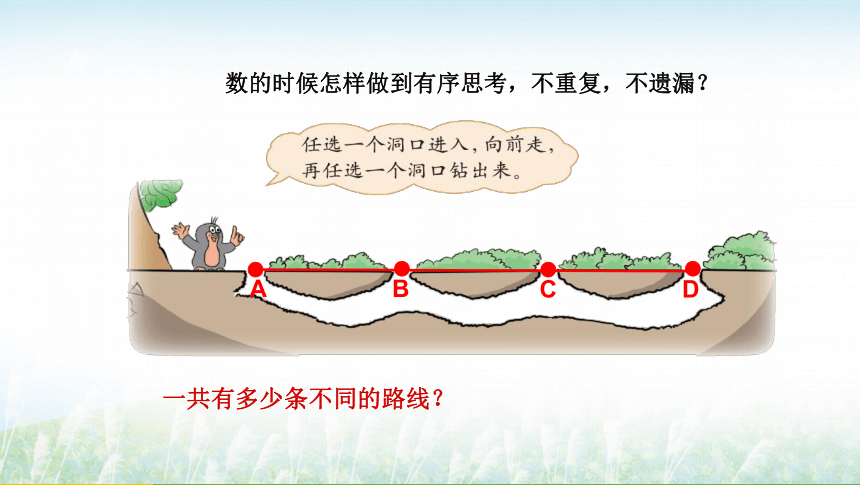 北师大版小学四年级数学上册《数图形的学问》课件(共14张PPT)