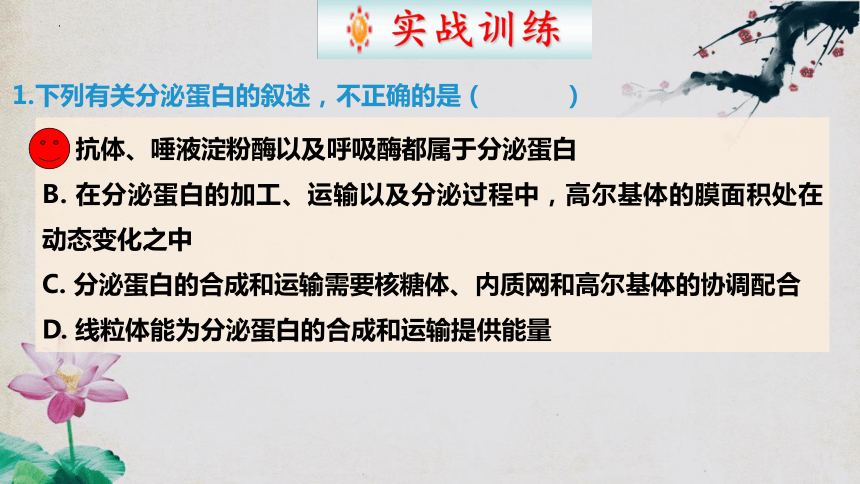 3.2 细胞器之间的分工合作（第二课时）(共42张PPT)高一生物上学期课件（人教版2019必修1）