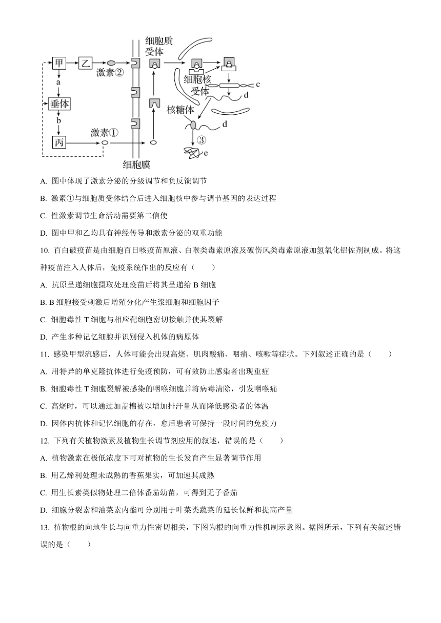 江苏省无锡市锡东高级名校2023-2024学年高二上学期期中考试生物（解析版）