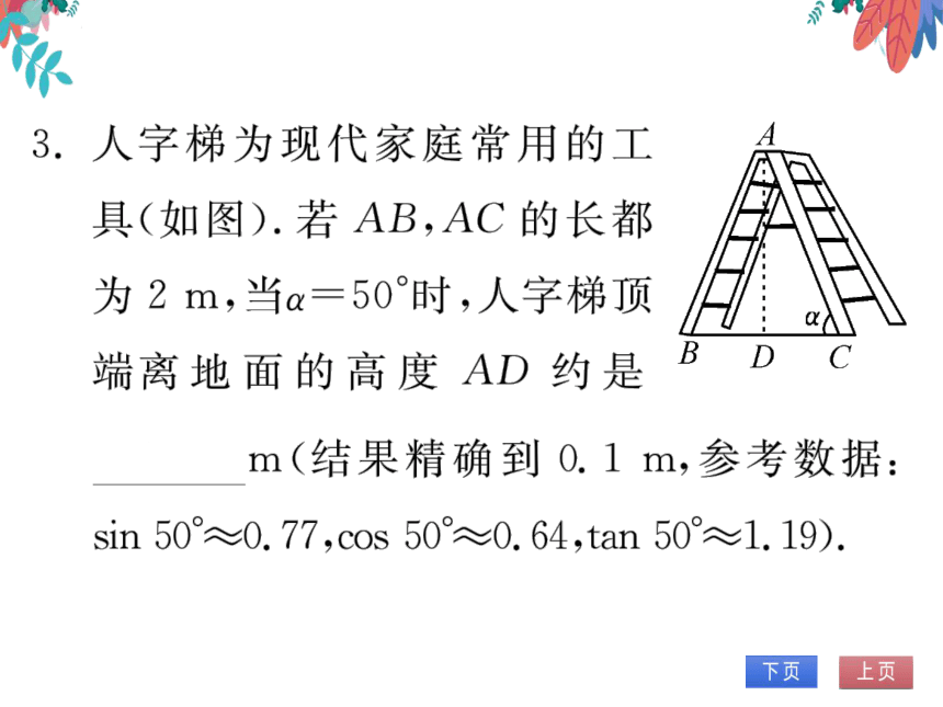 【同步精讲-习题课件】第28章《锐角三角函数》28.2.2 第1课时 与视角有关的实际问题-人教版数学九下