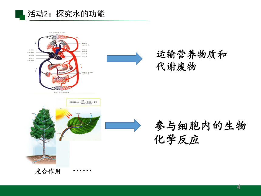 2.2 细胞中的无机物课件(共17张PPT)2023-2024学年高一上学期生物人教版必修1