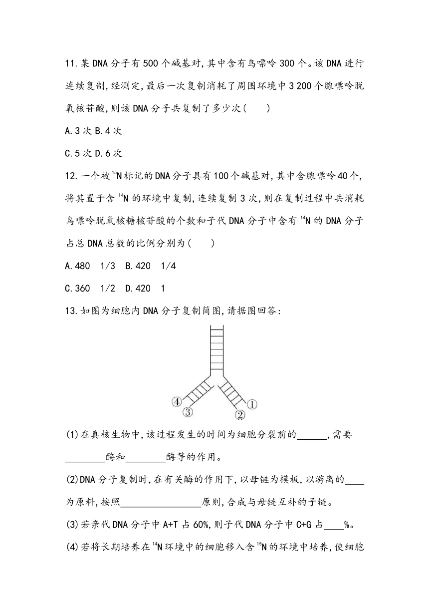 3.3《DNA的复制》课时同步练2023~2024学年高中生物人教版（2019）必修2（含答案）