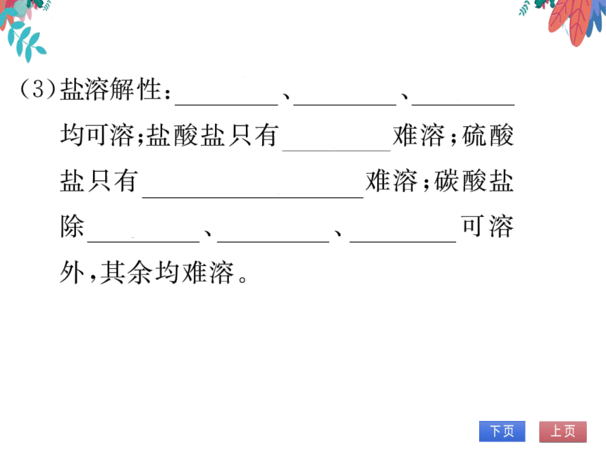 【同步精讲-习题课件】第十一单元《盐 化肥》单元复习与提升-人教版化学九下