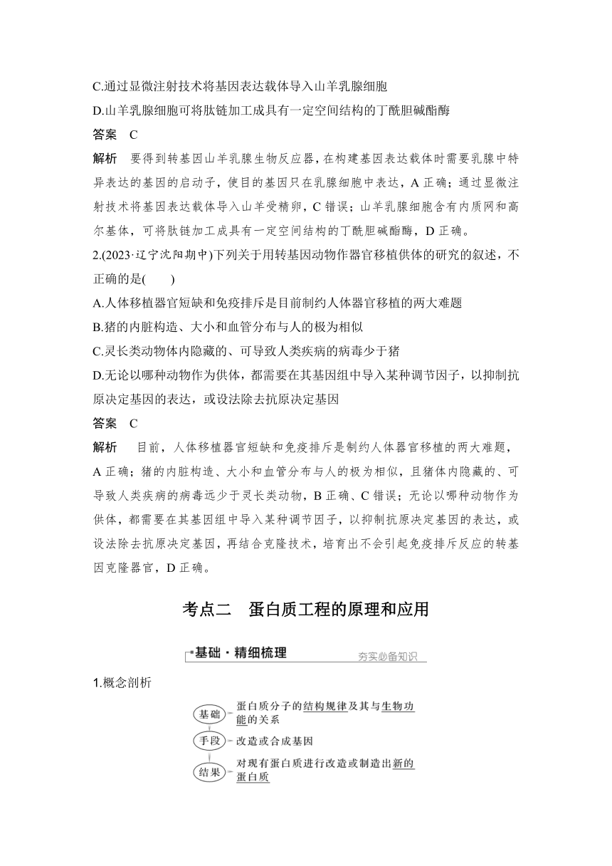 【备考2024】生物学高考一轮复习学案：第50讲　基因工程的应用、蛋白质工程及生物技术的安全性和伦理问题（含解析）