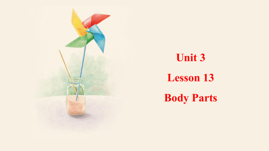 Unit 3 Lesson 13 Body Parts 课件(共21张PPT) 冀教版英语七年级上册