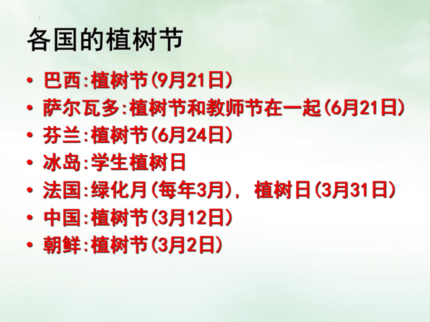 植树节主题班会 课件(共20张PPT)