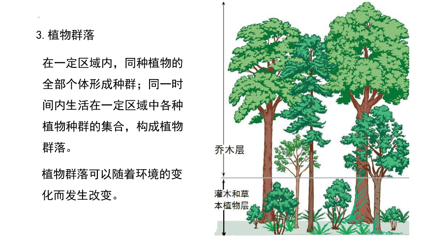 高中地理湘教版（2019）必修一5.1主要植被与自然环境（共30张ppt）