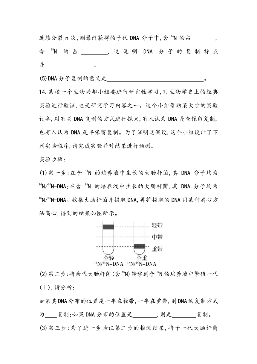 3.3《DNA的复制》课时同步练2023~2024学年高中生物人教版（2019）必修2（含答案）