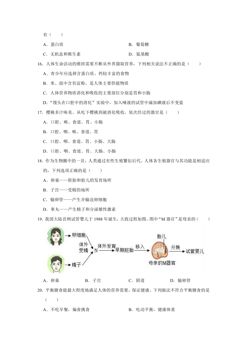 山东省淄博市淄川区2023-2024学年七年级上学期期中生物试题（五四学制）（含答案）