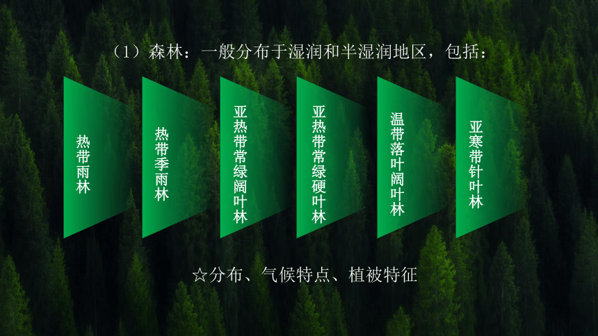 5.1主要植被与自然环境课件2023-2024学年高中地理湘教版（2019）必修一（58张）