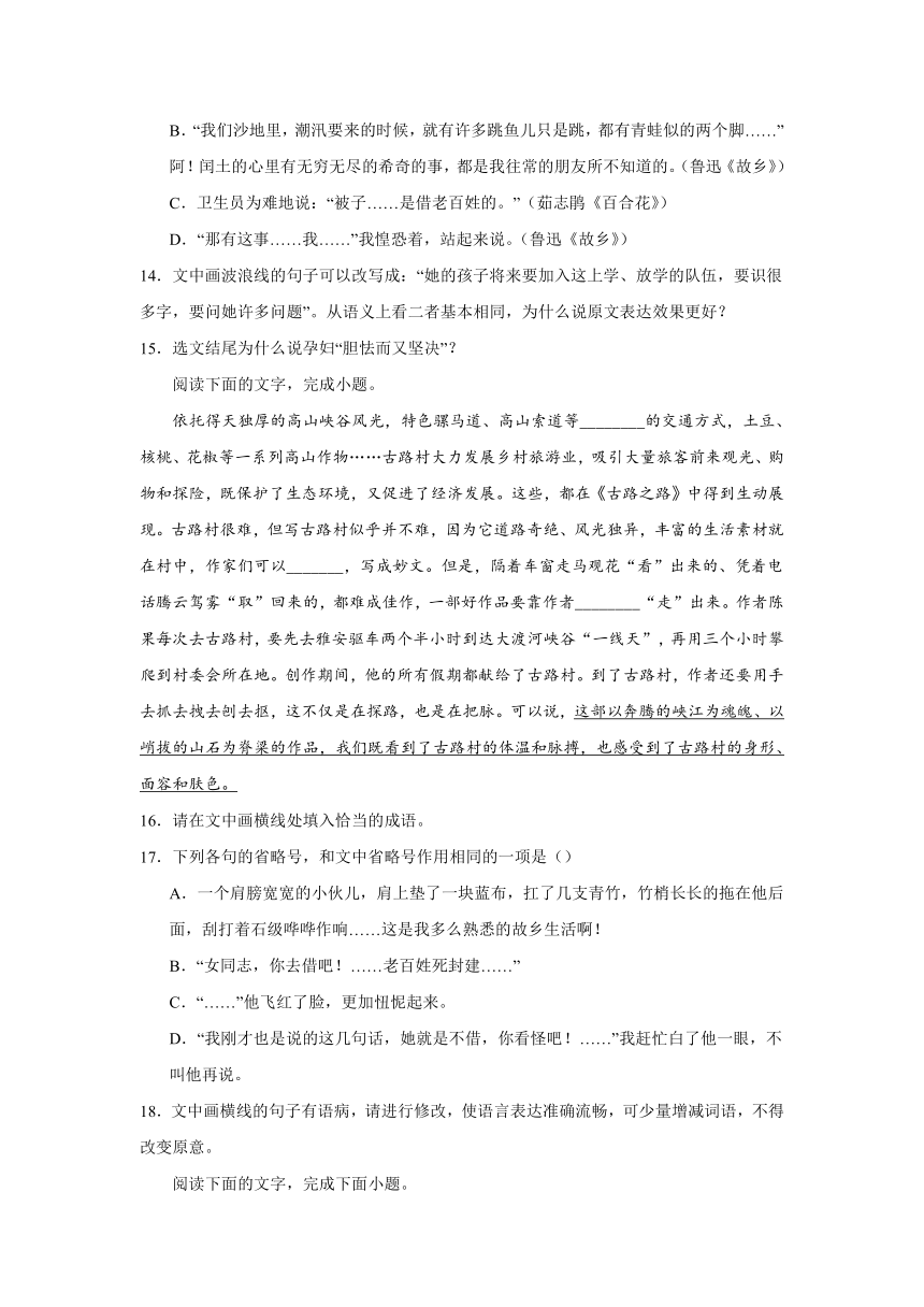 2024届高考语文复习：语用试题专练省略号用法(含解析)