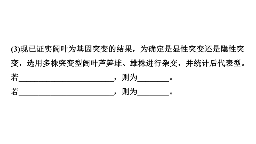 新人教高考生物学一轮复习素养加强课7　生物变异类型的实验探究(课件共25张PPT)