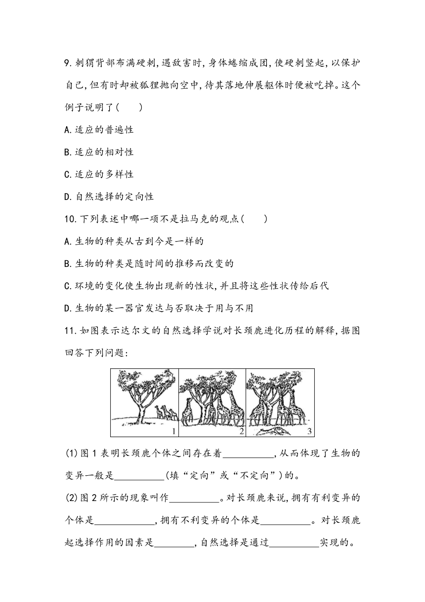 6.2《自然选择与适应的形成》课时同步练2023~2024学年高中生物人教版（2019）必修2（含答案）