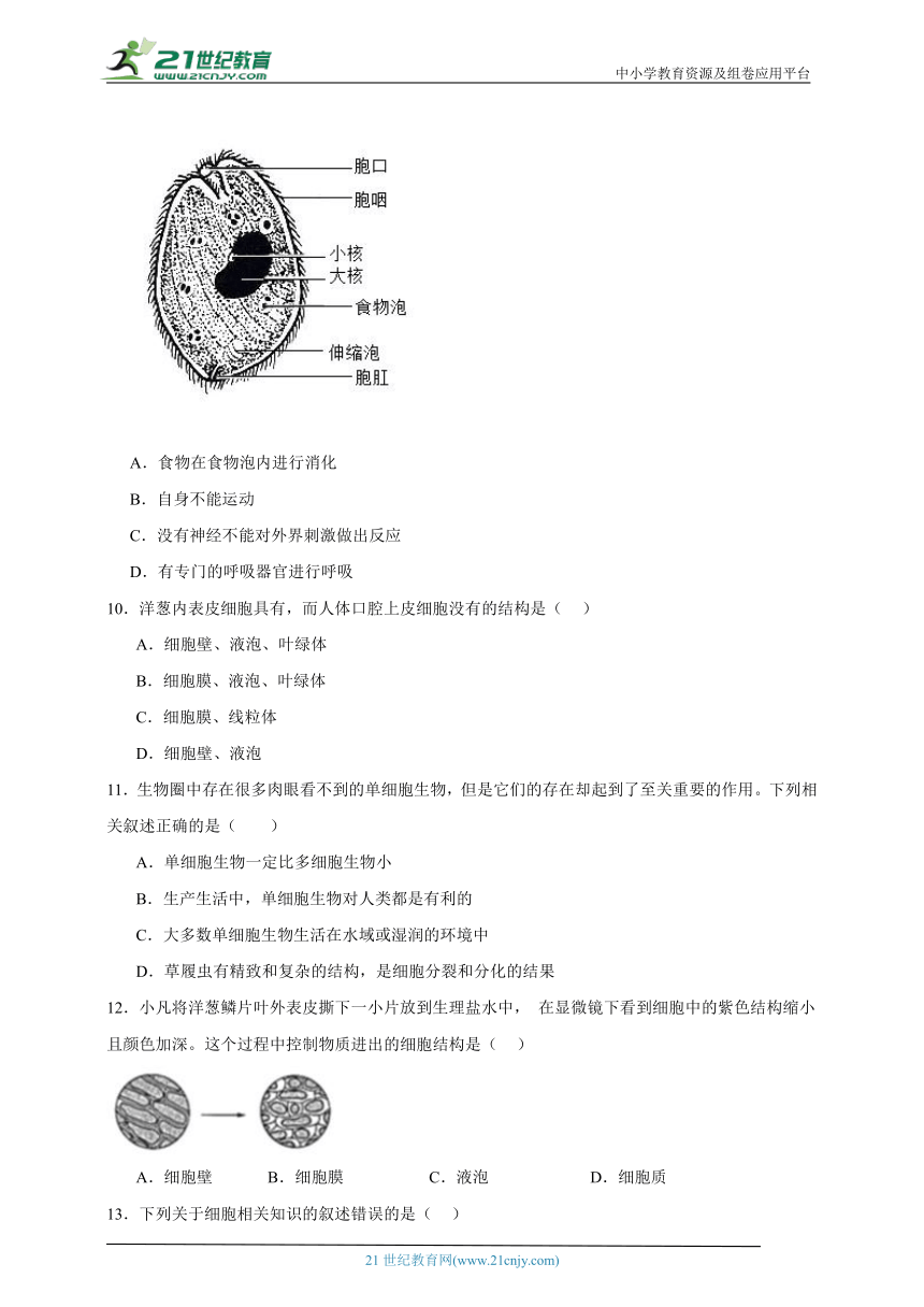 2023-2024学年初中生物济南版七年级上册期末复习专题3——细胞的结构与功能（含解析）