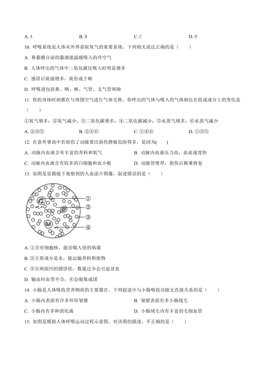 山东省德州市第五中学2022-2023学年七年级下学期期中生物试题（含答案）