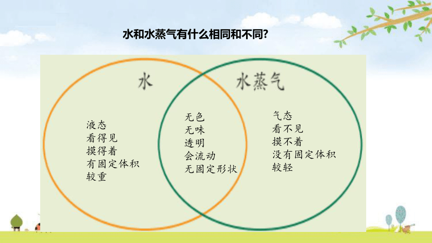 新教科版三年级上册科学第一单元精品课件(共161张PPT)