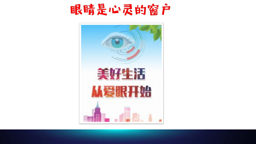 《扇形统计图》 课件青岛版（五四制）(共20张PPT)