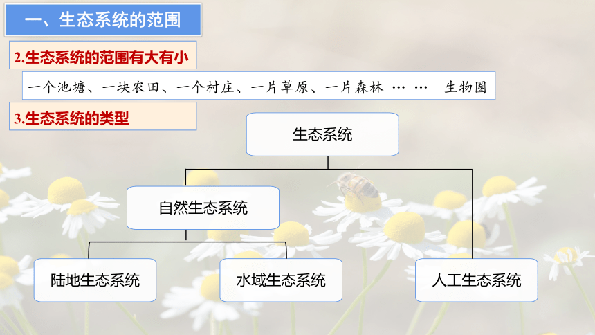 高中生物人教版（2019）选择性必修2课件：3.1 生态系统的结构(共41张PPT)