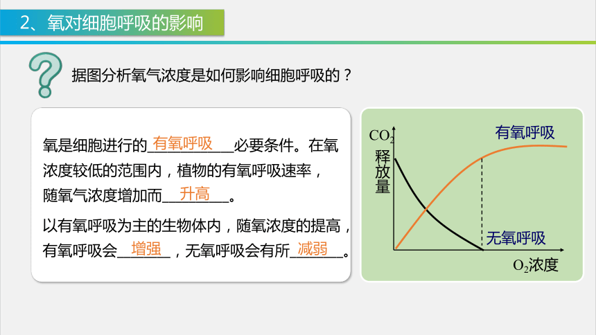 3.4 影响细胞呼吸的环境因素课件（第2课时）（共31张PPT)2023-2024学年高一上学期生物苏教版必修1