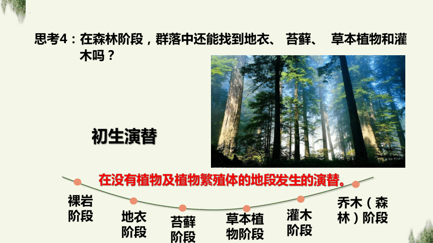 2.3群落的演替课件（共17张PPT、3份视频）2023-2024学年高二上学期生物人教版选择性必修2