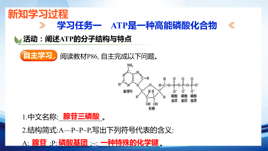 5.2 细胞的能量“货币”(共23张PPT)ATP-高一生物课件（人教版2019必修1）