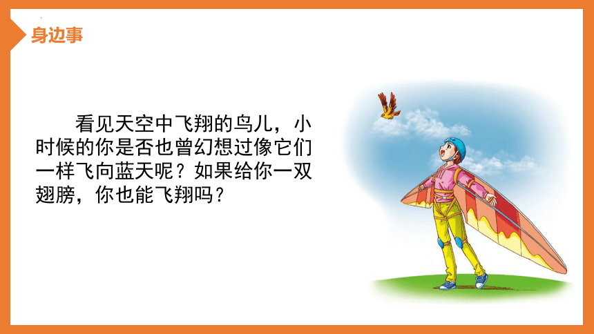 1.4.8鸟类课件（共27张PPT）2023-2024学年冀少版生物七年级上册