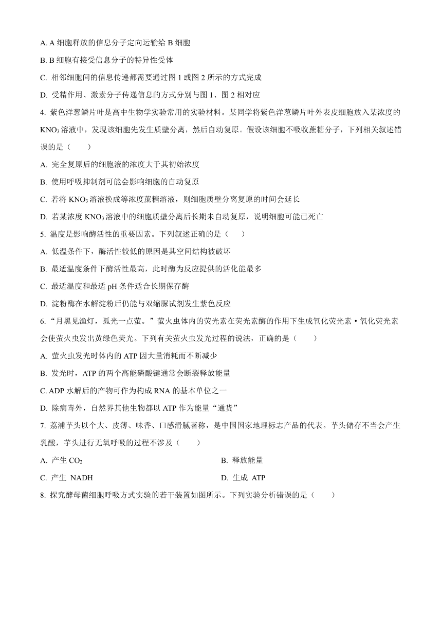 内蒙古部分名校2023-2024学年高三上学期期中联考试题生物（解析版）