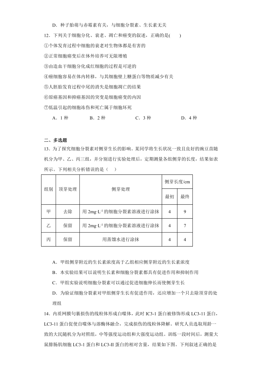 5.2其他植物激素 练习（解析版）